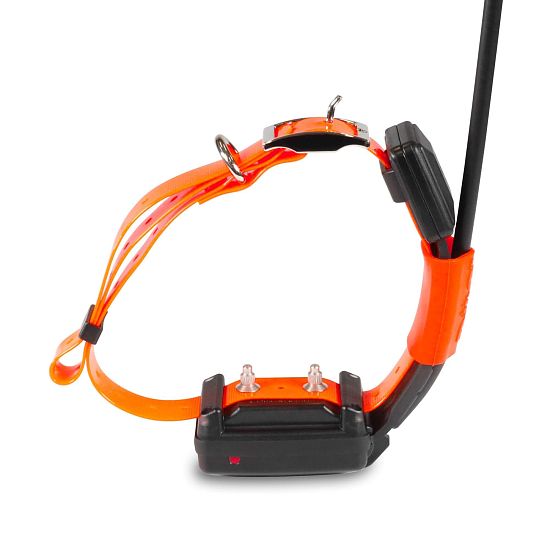 Kratší obojok pre iného psa - DOG GPS X25T Short