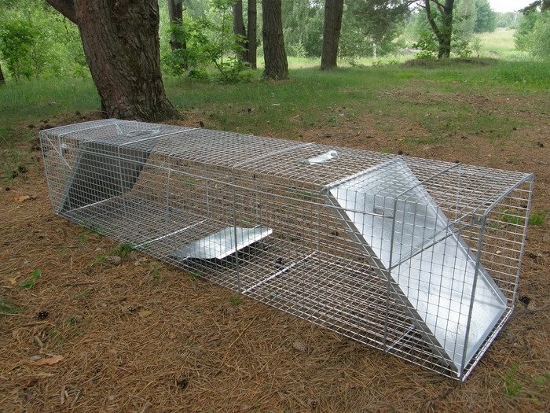Obojstranná živá pasca 2000x400x400mm