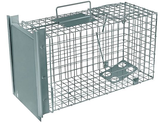 Pasca na potkany, krysy a lasice TRAP ZL 50×20×27