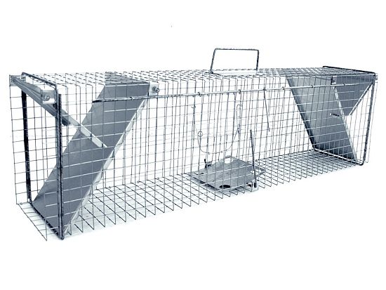 Pasca na potkany, krysy, kuny, lasice, mačky a tchory TRAP ZL 112 × 21 × 31