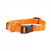 Obojok s popruhom NEON